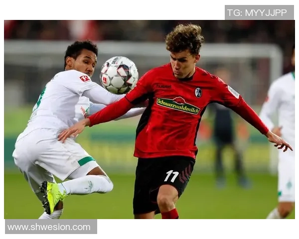 弗赖堡主场失利,德甲降级危机赛后升温 弗赖堡主场失利,德甲降级危机赛后升温